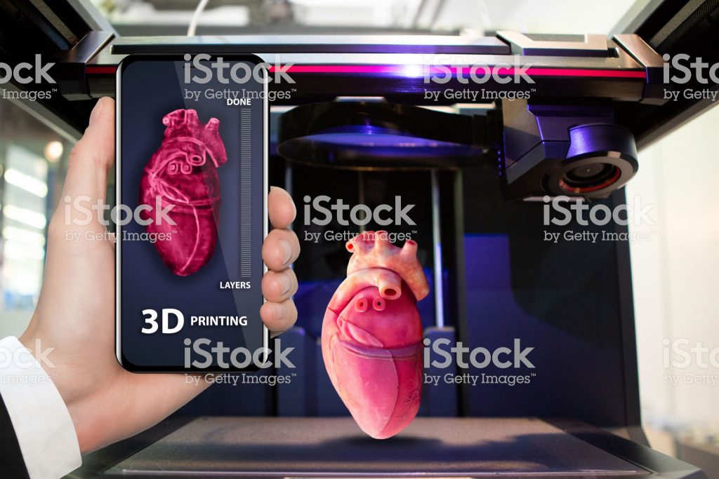 òrgans humans 3D